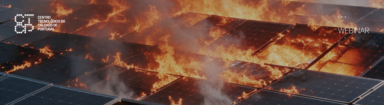 Webinar: Incêndio nos painéis solares – a experiência da Cartonagem Trindade